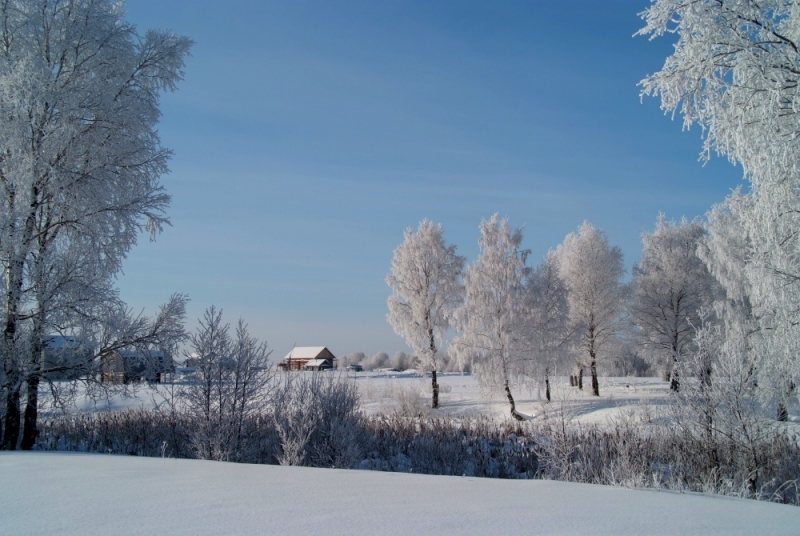 Классика зимы