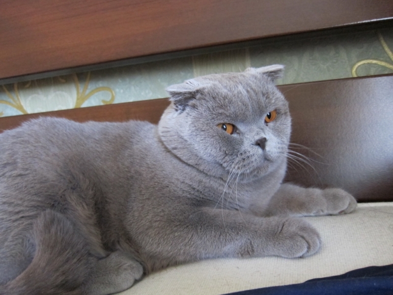 IMG 0643 новый размер.JPG