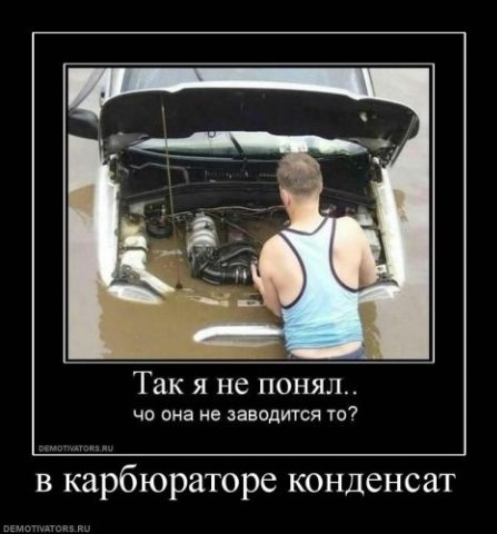 x 50455565