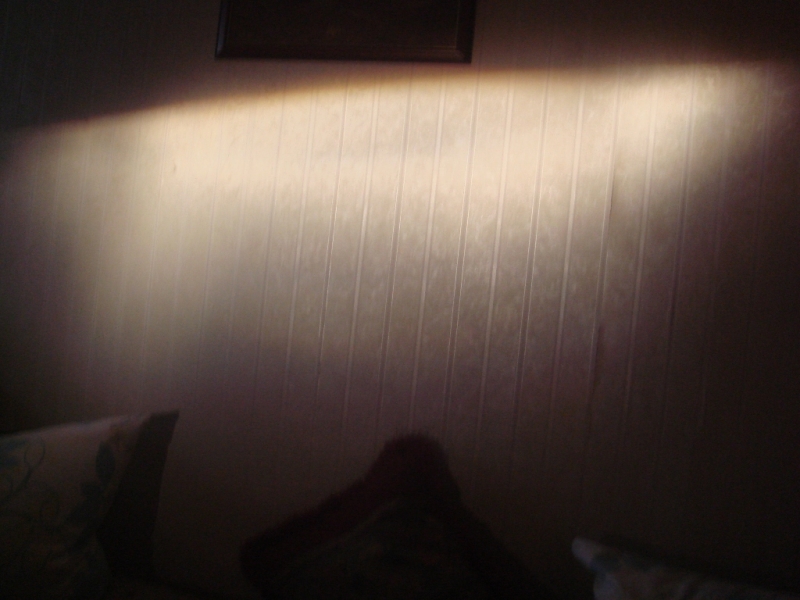 DSC00674