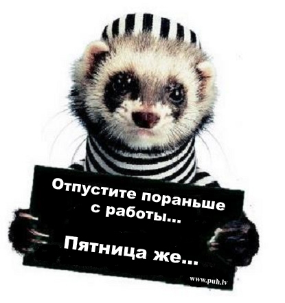Пятница1