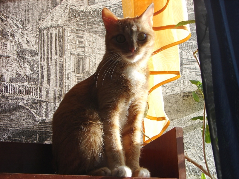 DSC01295
