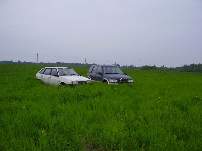 поле,русское поле.