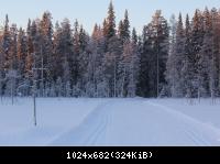 Лыжная трасса в лесу (3)