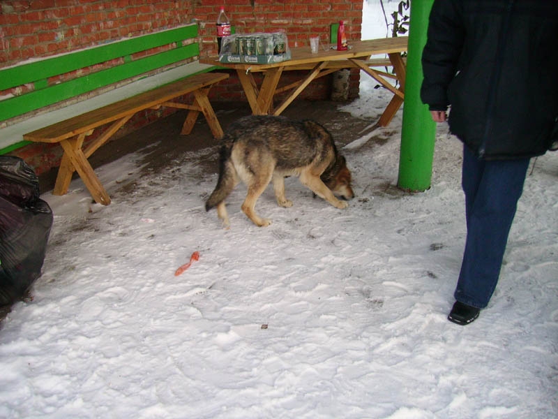 санитар стола