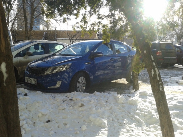 В первый день покупки