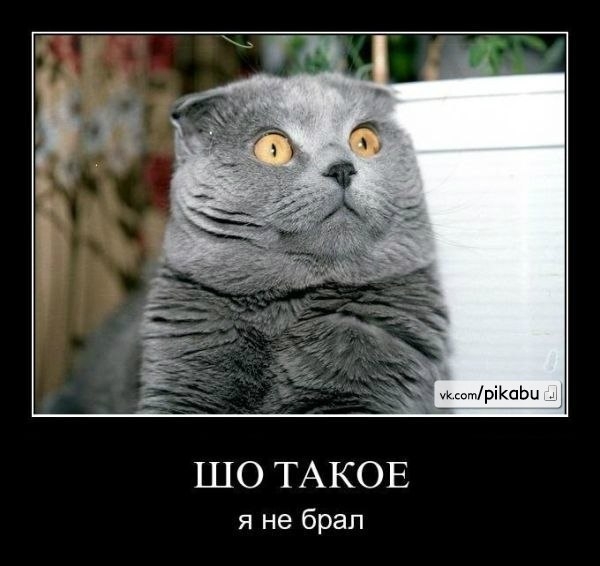 {ЭЛЕКТР СТУЛ} {шо такое}