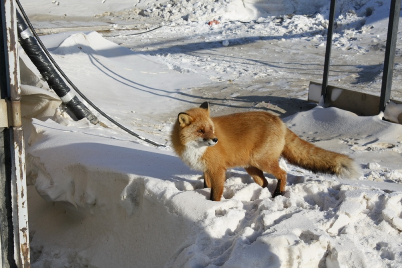 Вернулся - 3