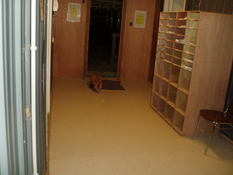 Пробираемся осторожненько ко мне