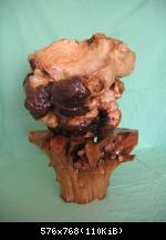 Коряга3 Коряга3