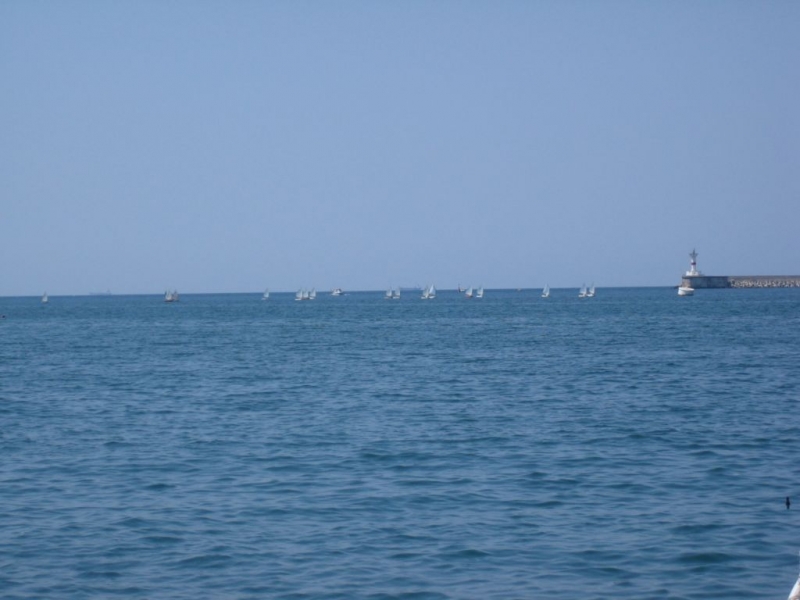 регата
