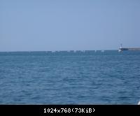 регата
