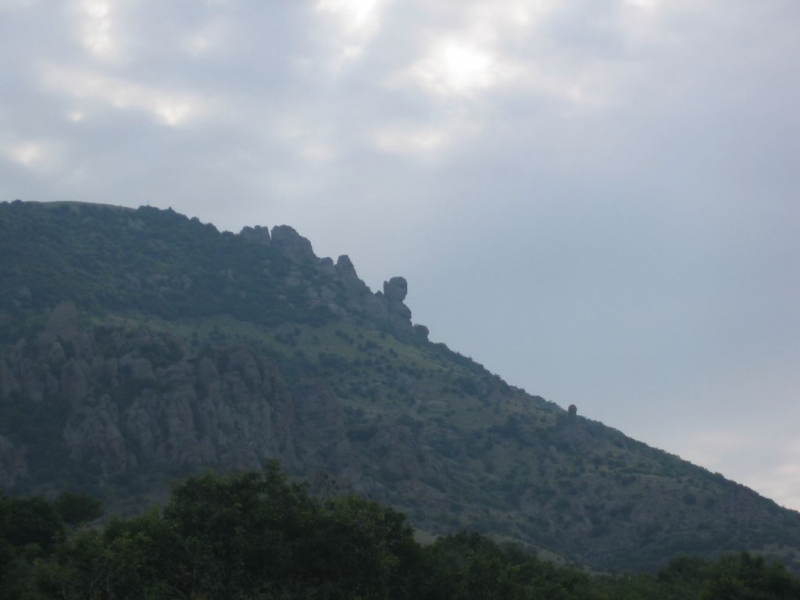 голова