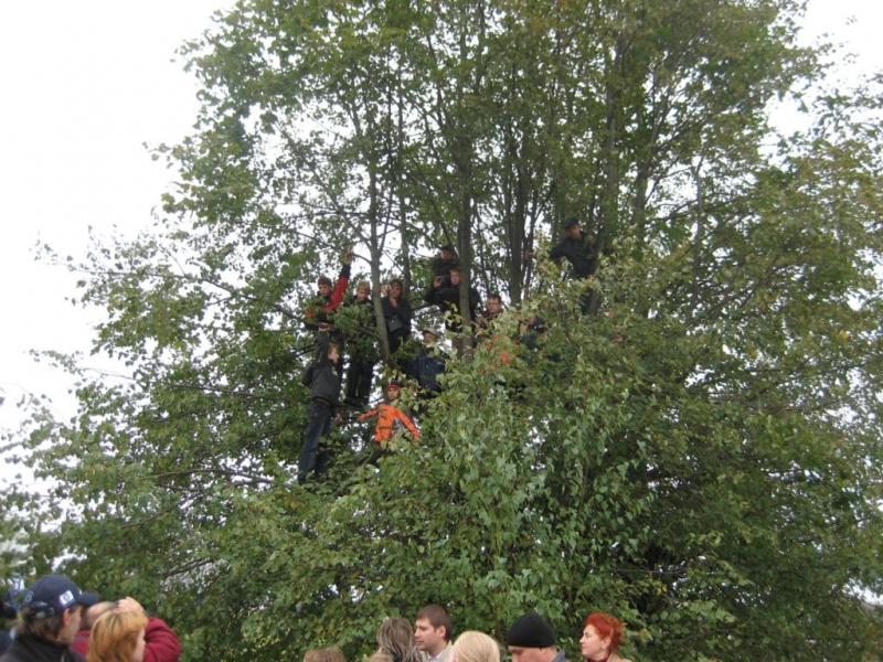 галерка