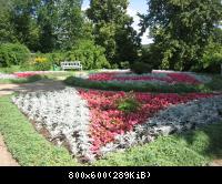 Парк в Тригорском