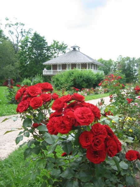 Петровское