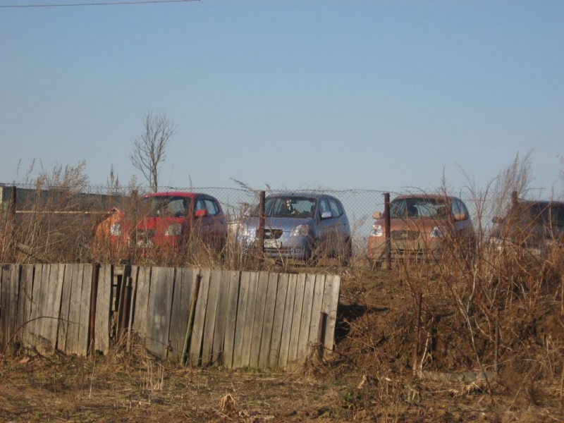 Слет Пикантоводов 24.03.07 г.