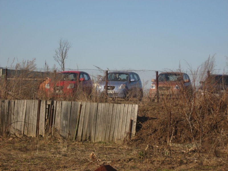 Слет Пикантоводов 24.03.07 г.