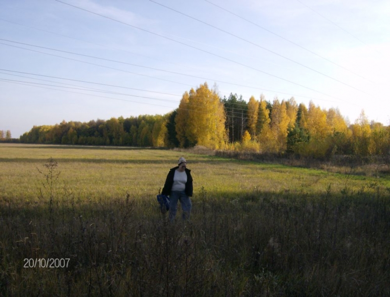 поля центрального черноземья