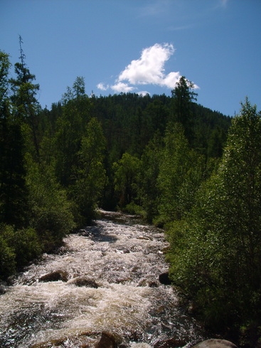 Таёжная река