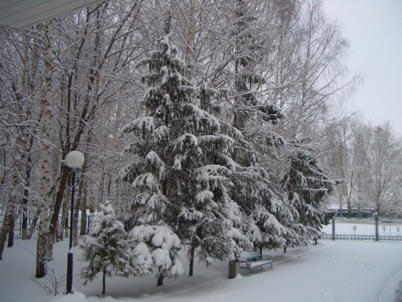 Вчера еще было сухо, а сегодня опять зима