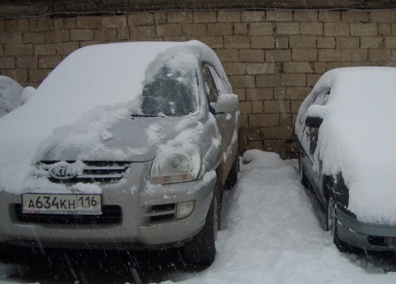 Все это за ночь выпало