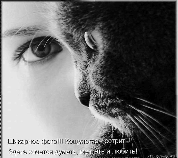шикарное фото