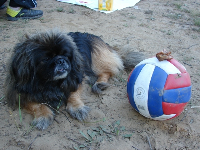 член семьи Chatla тоже не остался без угощений и развлечений