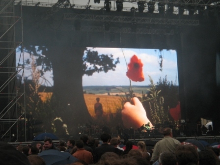 Пинки в Питере!!!