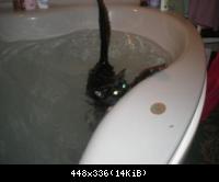 Хвост по ветру