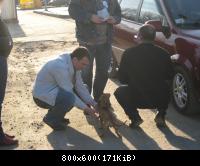 Мега апрель 2008