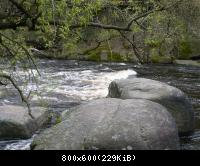 отпуск 2008 - Полесье