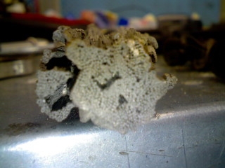 Кучки начинки ката 2