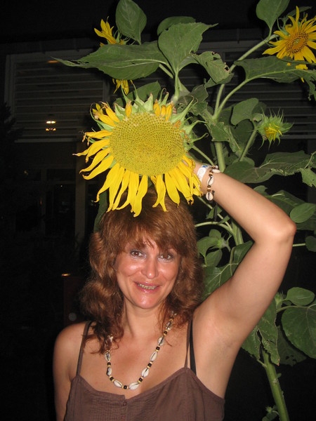 Турляндские подсолнухи))