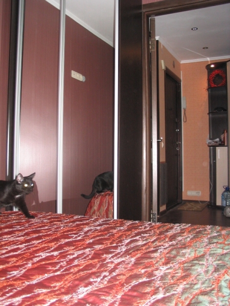 Спальня шкаф.jpg