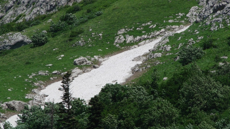 Ледники у подножья Пшехо-Су