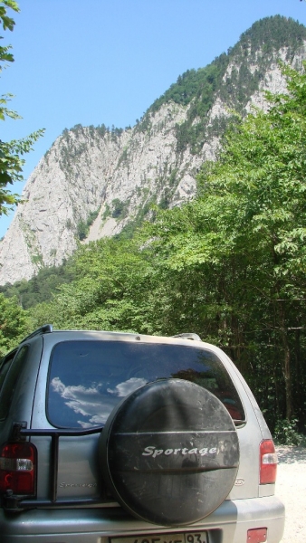 Реклама Спортажа