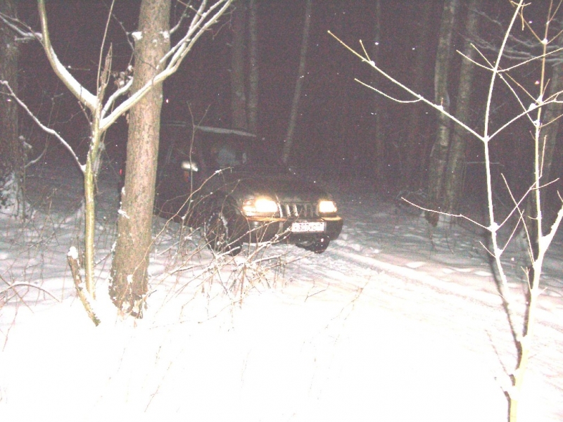 Спортаж в ночном лесу-2