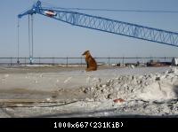 24196