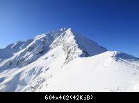 24733
