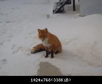 27021